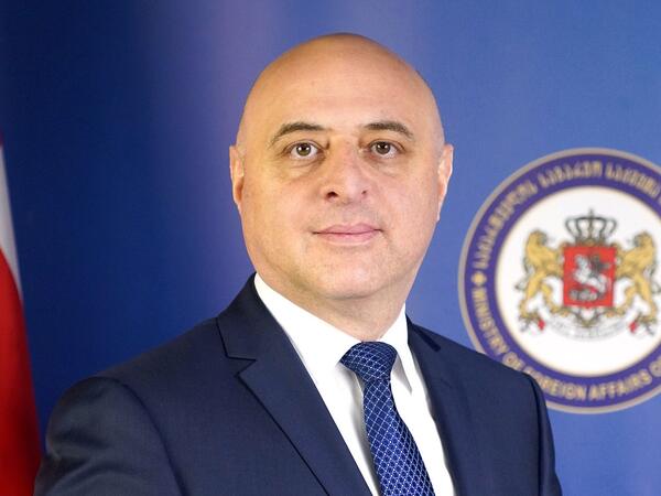 Gürcüstan Azərbaycana yeni səfir təyin edib