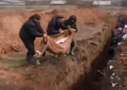 Rusiya Ukraynaya 252 meyit verdi