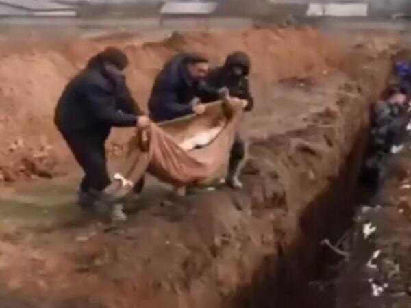Rusiya Ukraynaya 252 meyit verdi