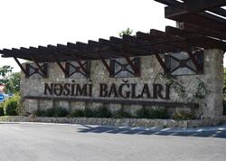 Şamaxıda “Nəsimi Bağları” kompleksi: 120 hektarlıq ərazidə turizm və mədəniyyət məkanı