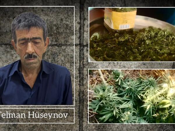 Ucarda narkotik yetişdirən şəxs saxlanıldı
