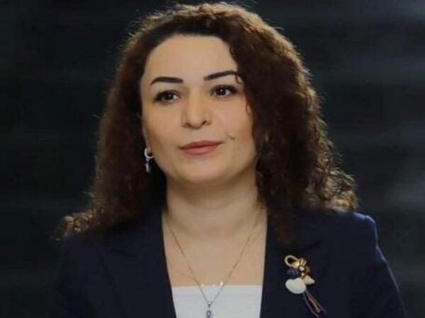 Keçmiş deputat vəzifədən azad edildi