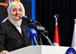 Ərdoğanın müavini istefa verdi