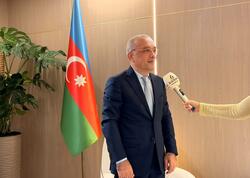 Bakını yağışa nə qədər hazırlaya bildik? - Zaur Mikayılovla müsahibə