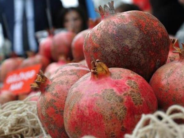 Narın içində qurd yoxdur, amma yenə də çürüyür