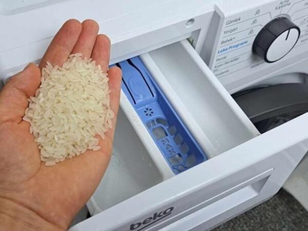 Paltaryuyan maşına 1 ovuc düyü qoyun və fərqi görün
