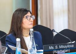 Deputat Sevil Mikayılova Aruşada IPU-nun İcraiyyə Komitəsinin iclasında iştirak edib - <span class="color_red">(Foto)</span>