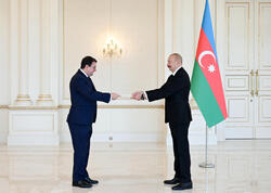 Prezident İlham Əliyev Avstriyanın Azərbaycanda yeni təyin olunmuş səfirini qəbul edib - (Foto)