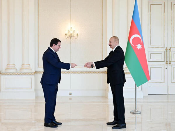 Prezident İlham Əliyev Avstriyanın Azərbaycanda yeni təyin olunmuş səfirini qəbul edib - (Foto)