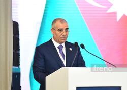 İtkin düşənlərin taleyinin müəyyənləşdirilməsi davamlı sülhün mühüm şərtidir - Əli Nağıyev
