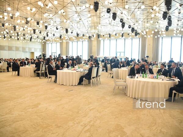 Bakıda İtkin düşmüş şəxslər üzrə Bakı Dialoqu çərçivəsində IV beynəlxalq konfrans keçirilir - <span class="color_red"> (Foto)</span>