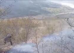 Şamaxıda meşə ərazisində yanğın baş verib