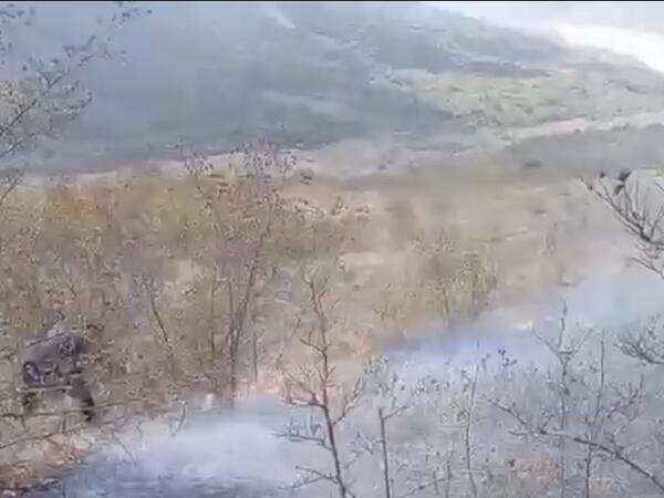 Şamaxıda meşə ərazisində yanğın baş verib