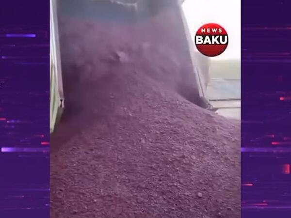 Yük maşını ilə daşınan sumağın yerə boşaldılması realdır? - rəsmi açıqlama - <span class="color_red">(Video)</span>
