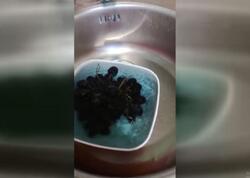 Evinə aldığı üzümün rəngi çıxdı - <span class="color_red">(Video)</span>