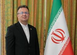 Tbilisidə səfirə sahibsiz itlər hücum etdi - Xəsarət aldı