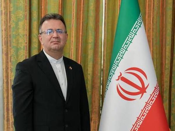 Tbilisidə səfirə sahibsiz itlər hücum etdi - Xəsarət aldı