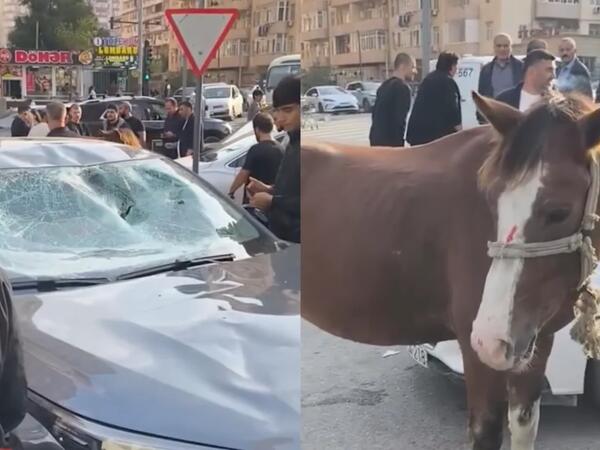 Bakıda minik avtomobili atla toqquşdu - <span class="color_red">(Video)</span>