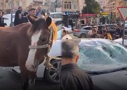 Bakıda maşın atla toqquşdu - <span class="color_red">(Video)</span>