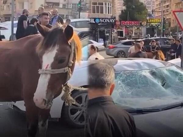 Bakıda maşın atla toqquşdu - <span class="color_red">(Video)</span>