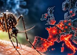 Avropada təhlükəli virus yayılır - 130 nəfər öldü
