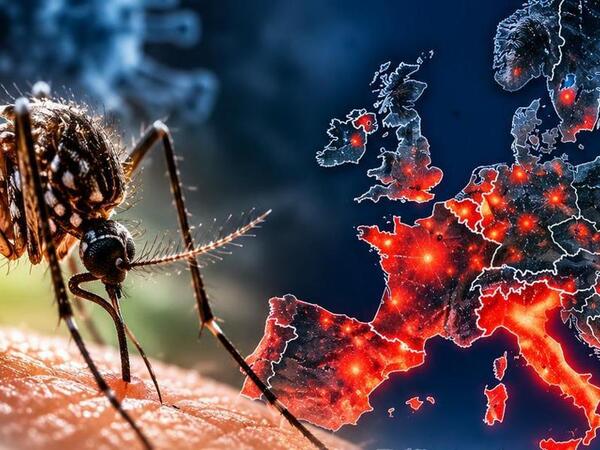Avropada təhlükəli virus yayılır - 130 nəfər öldü
