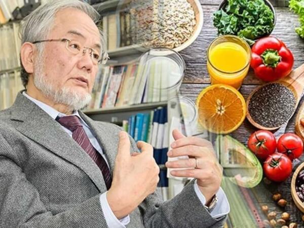 Nobel mükafatı qazanan kəşf - qocalmanı 3 günə dayandırır?