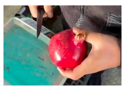 Narın dənələri bu üsulla bir anda bir-birindən ayrılır - <span class="color_red">(Video)</span>
