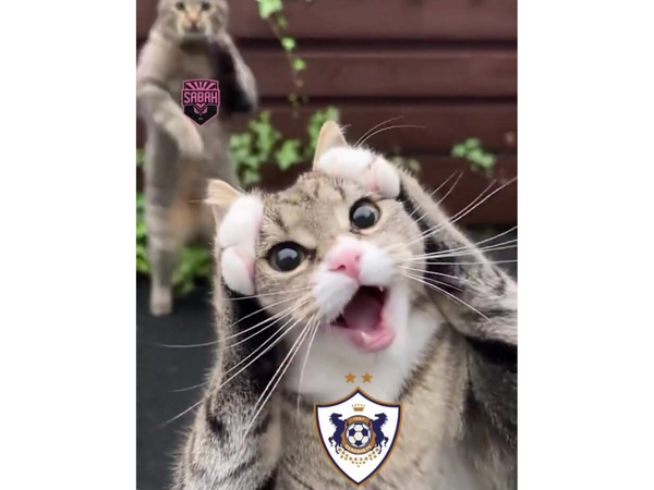 “Qarabağ”ın “Sabah”la bağlı paylaşımı müzakirələr yaratdı – <span class="color_red">(Video)</span>