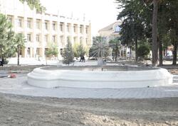 Xaçmazda 1 hektardan çox ərazini əhatə edən park yenilənir - <span class="color_red">(Foto)</span>
