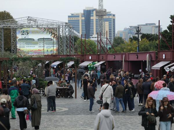 Yağışlı havaya baxmayaraq, Zeytun Festivalı davam edir <span class="color_red">(Foto)</span>