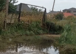 Sumqayıtda yağışlı günlərdə təkrarlanan problem: Kanal niyə daşır?