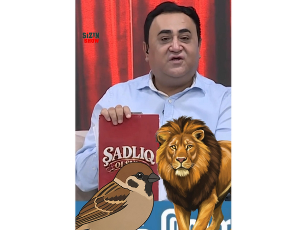 Elgiz Əkbər: “Heç sərçə də atmadılar” - <span class="color_red">(Video)</span>