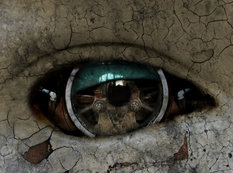 Öz məhvini maliyyələşdirən cəmiyyət və ya onlar hara gedirlər?