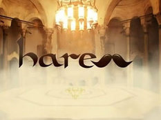 "Harem": 27-ci seriya - VİDEO
