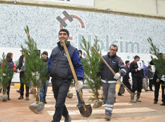 Holcimin 100 illiyinə 400-dən çox agac əkildi - FOTO