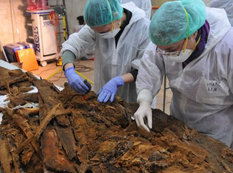 Servantesin məqbərəsi Madriddə tapılıb