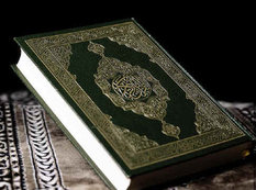 Türkiyədə İran vətəndaşları "Qurani Kərim"i yandırdılar