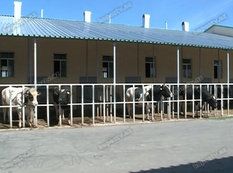 Heyvan bazarları nə vaxt açılacaq?