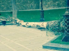"Sabir bağı"nda sevgililər ölümdən döndülər - FOTO