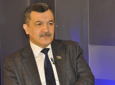 "Dünyada birinci Avropa Oyunlarının Azərbaycanda keçirilməsi onların bütün planlarını alt-üst edir"
