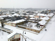 Quba ağ örpəkdə - FOTO