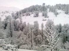 Azərbaycanda Sibir mənzərəsi - FOTO