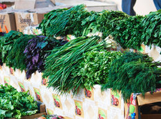 Azərbaycanda göyərtilərin qiyməti BAHALAŞDI