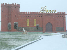 Gəncə də qara büründü