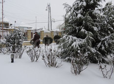 Nabrana yarım metrdən çox qar yağıb - YENİLƏNİB - FOTO