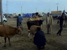 Azərbaycanda virusa görə bazar bağlandı