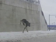 Özünü aşağı atdı, ayaqları qırıldı, öldü - VİDEO - FOTO