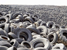 Ən böyük şin qəbristanlığı - FOTO