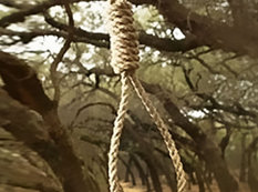 Azərbaycanda 21 yaşlı gənc özünü meşədə asıb